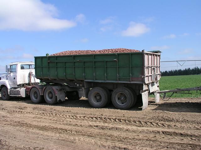 Transporte Agrícola Ganadero  Contacto