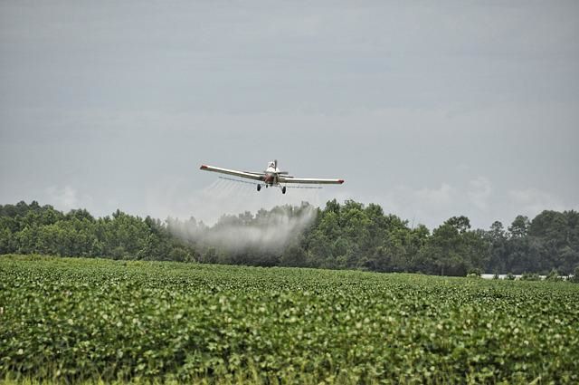 Fumigación Aérea Servicio Contactar