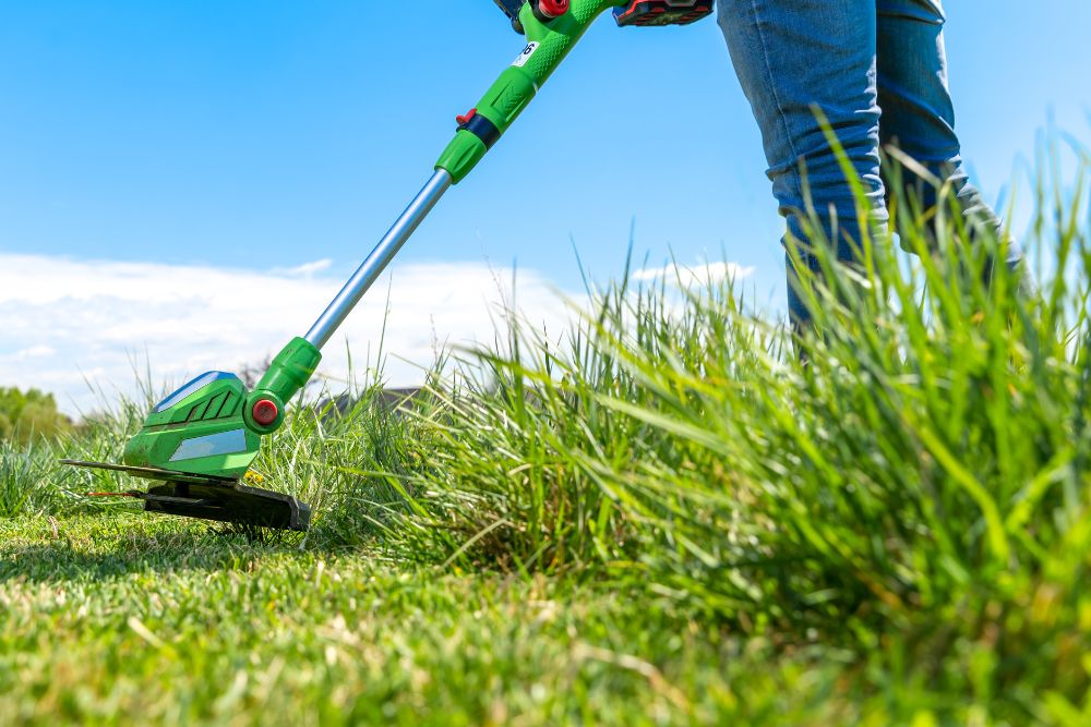 Lawn Care