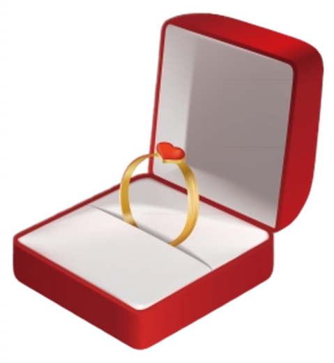 Jewelry Packaging and Displays icon