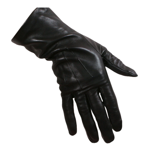 Gloves  Mittens icon