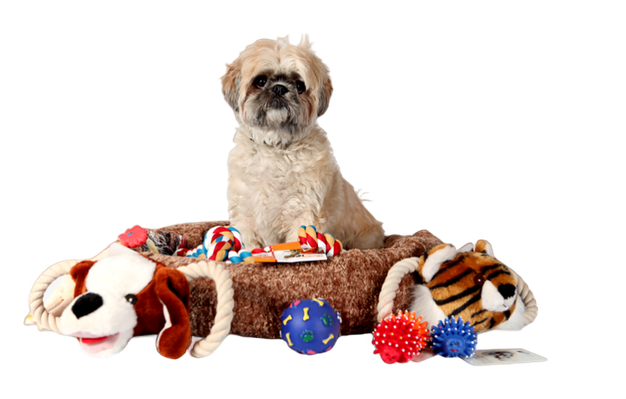 Intelligent Pet Supplies icon