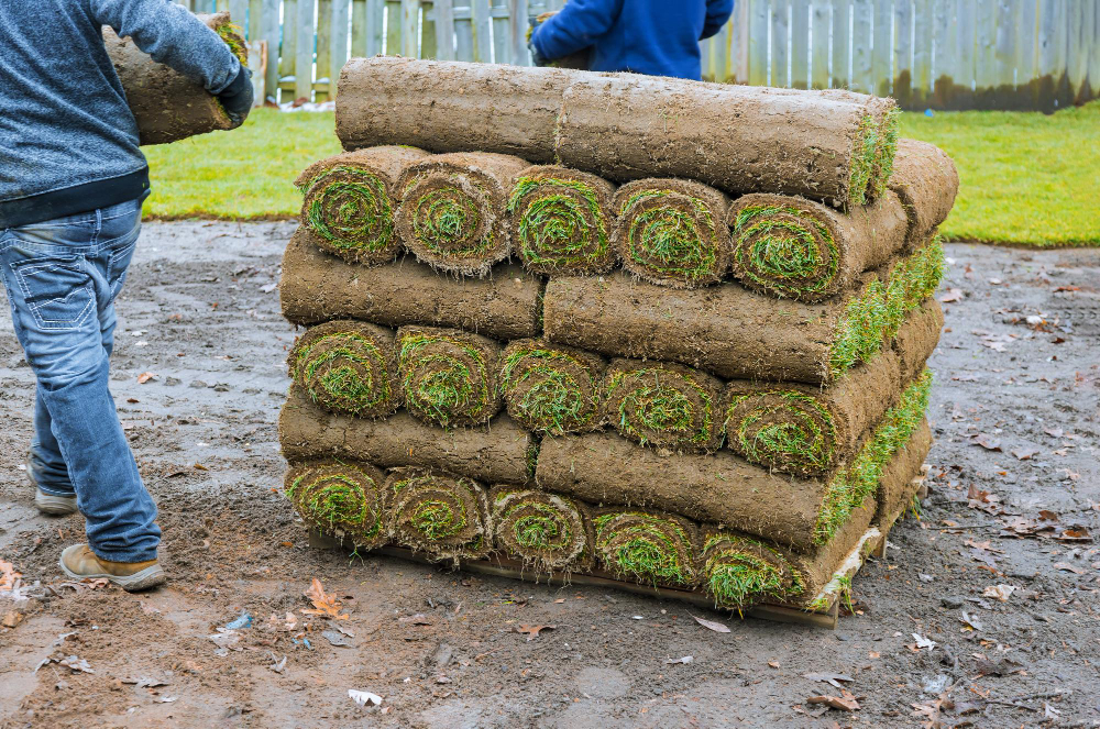 Sod Installation